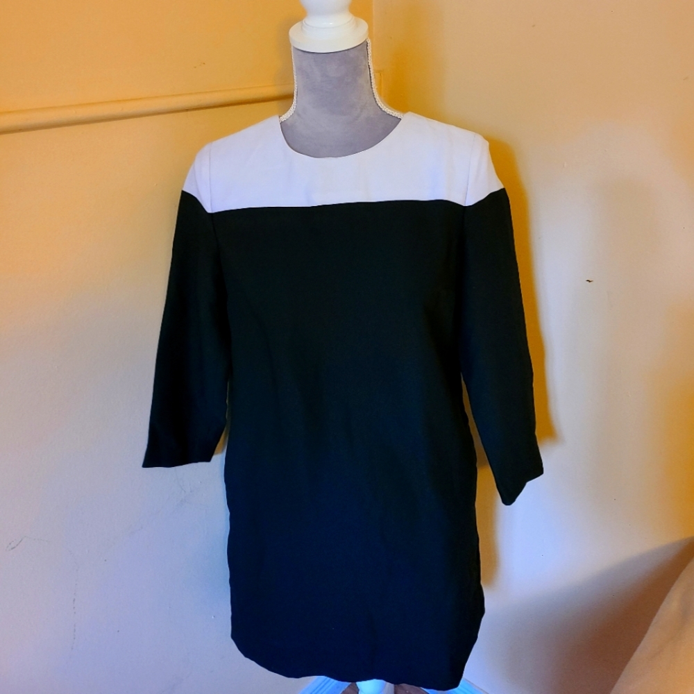 Ladies petite dress